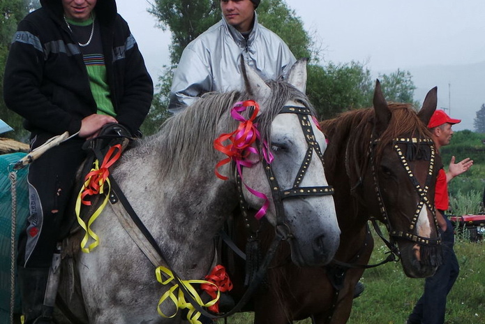 Чаще болеют насморком